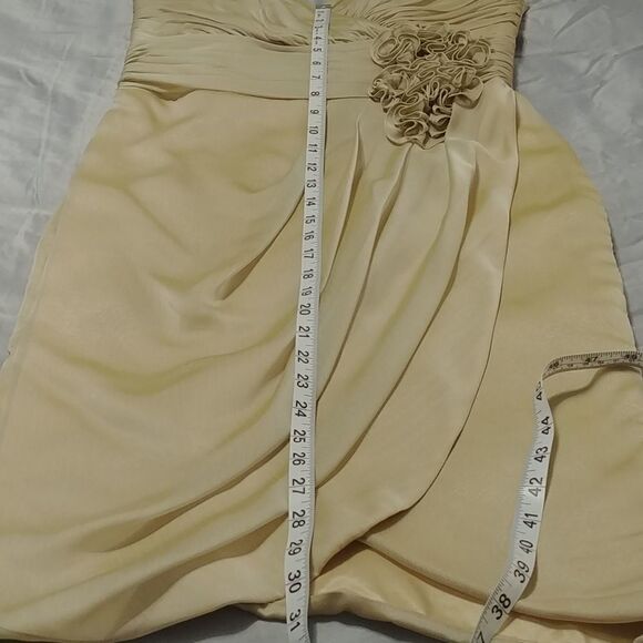 NWT Jade Special Occasion Tiffany Chiffon Khaki Tea Length dress Sz 8 - Picture 12 of 12